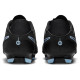 Nike Legend 10 Academy FG/MG
